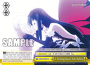S18 - Accel World
