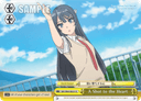 W64 - Rascal Does Not Dream of Bunny Girl Senpai