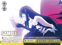 S18 - Accel・World